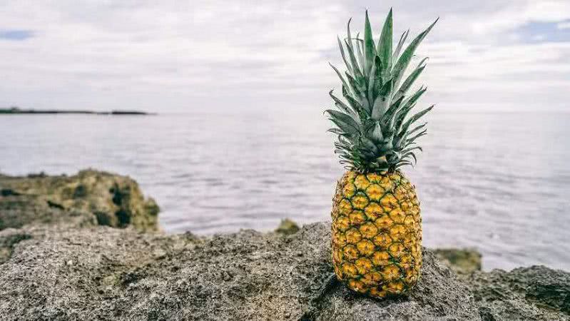 Pineapple Fund пожертвовал благотворительным организациям 55 миллионов долларов в биткоинах