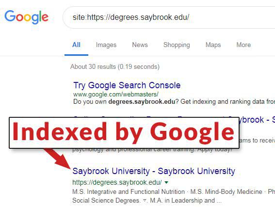 В каком случае Google игнорирует директиву Noindex